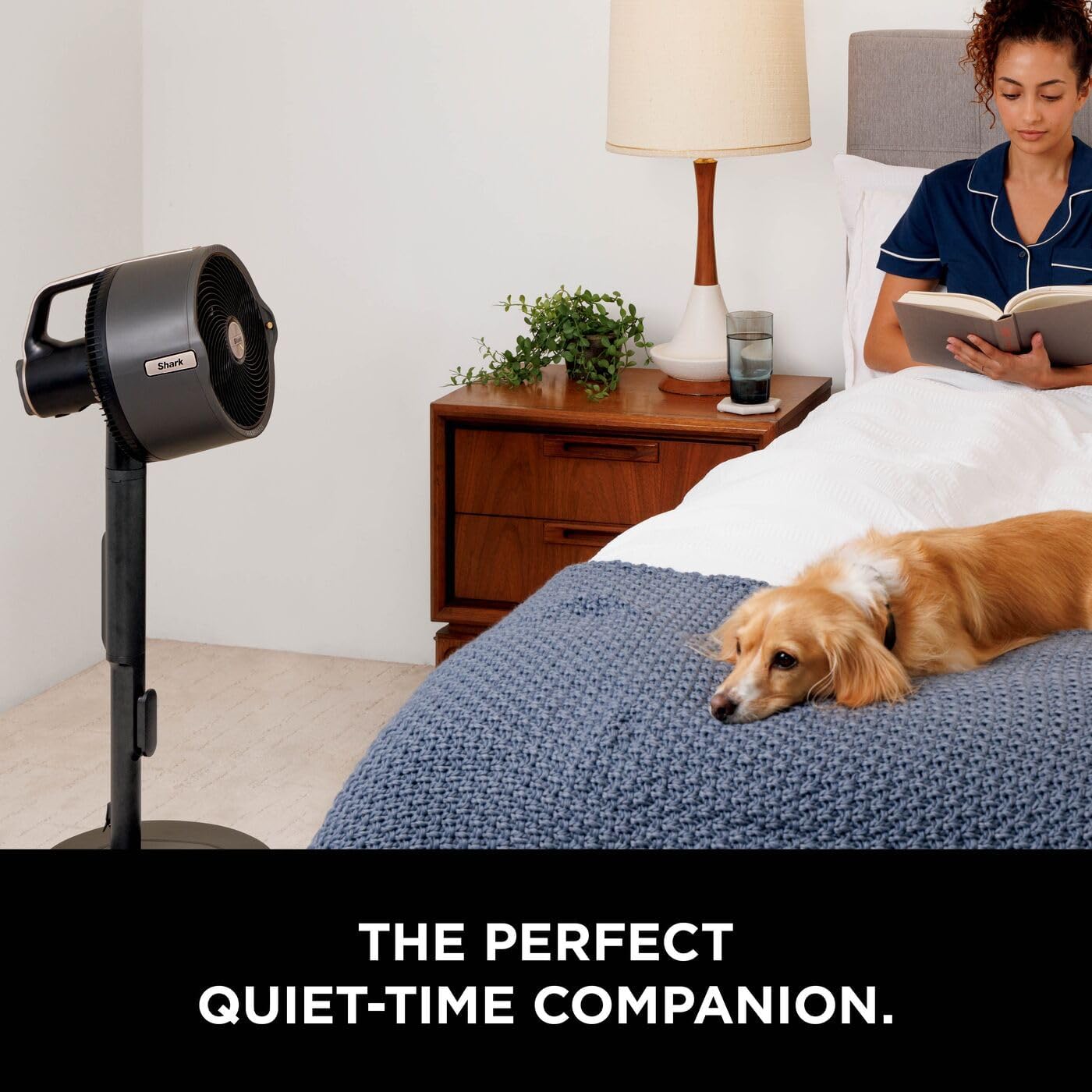 Shark FlexBreeze Pro Mist Cordless Fan for Indoor & Outdoor Use + Gift 🎁